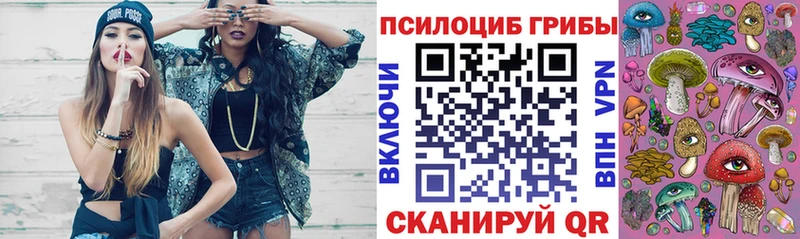 Псилоцибиновые грибы GOLDEN TEACHER  даркнет сайт  Находка 