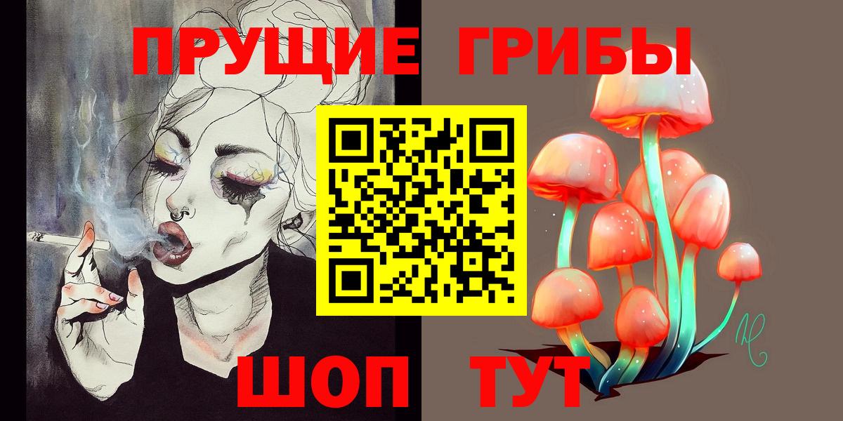 Псилоцибиновые грибы Psilocybe  Вход с VPN  Находка  Псилоцибиновые грибы Magic Shrooms 