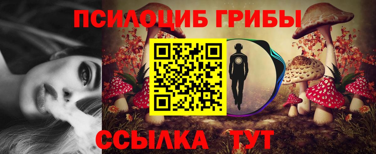 Псилоцибиновые грибы ЛСД Находка