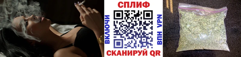 Бошки Шишки OG Kush  наркотики  Находка 